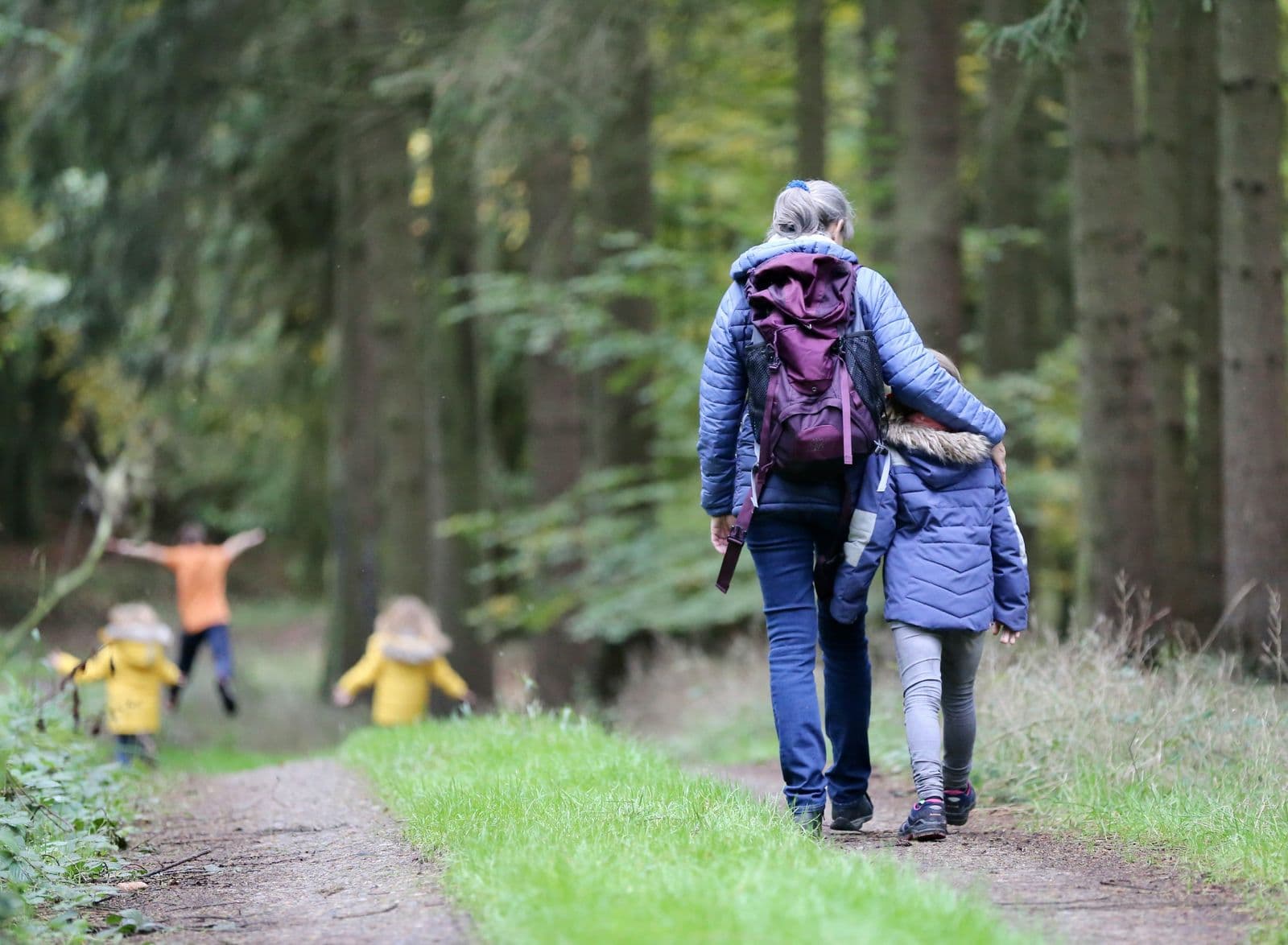 Family walking together on a forest path